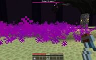 A player about to bottle some Dragon's Breath (Image via Minecraft)
